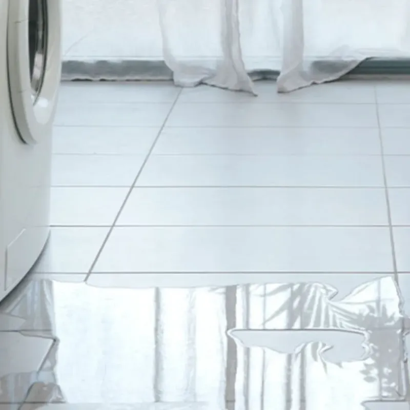 Appliance Leak Cleanup in Union Parish, LA