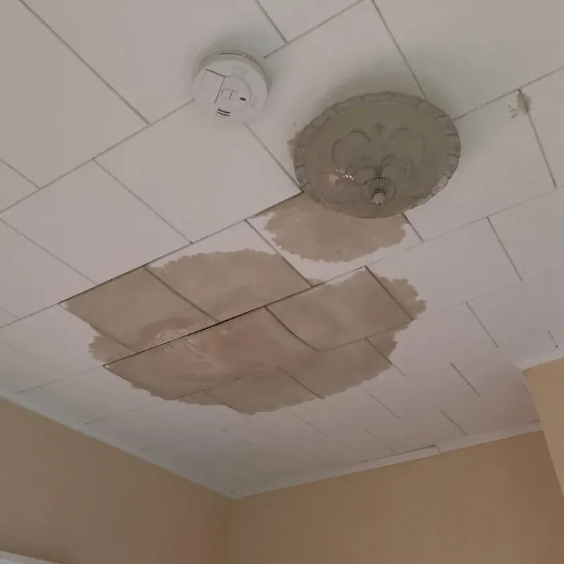 Ceiling Water Damage Repair in Union Parish, LA